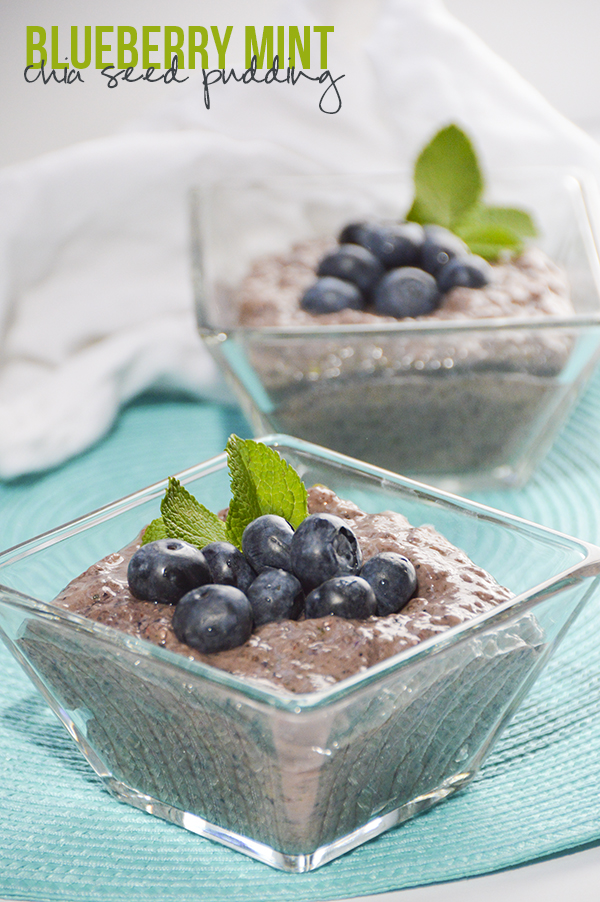 Blueberry Mint Chia Seed Pudding