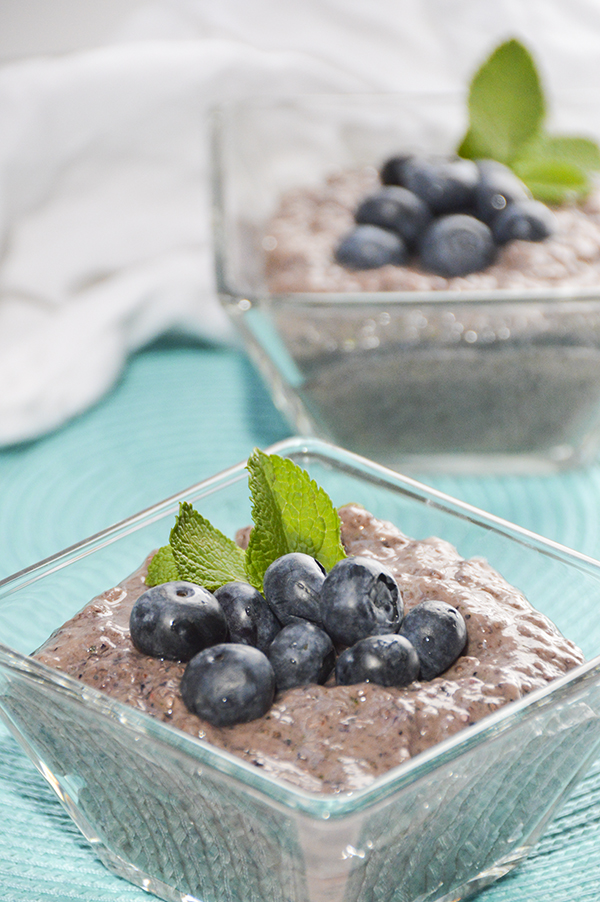 Blueberry Mint Chia Seed Pudding