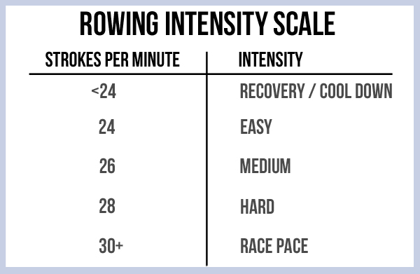 Koncession luft Sinis 3-Part Rowing Workout (Endurance, Intervals & Challenge) | Pumps & Iron