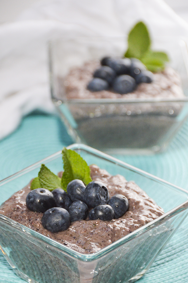 Blueberry Mint Chia Seed Pudding | Pumps &amp; Iron