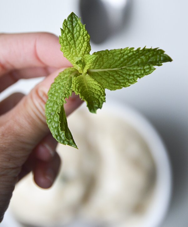 Mint Close Up