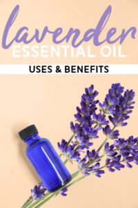 Uses for and Benefits of Lavender Essential Oil